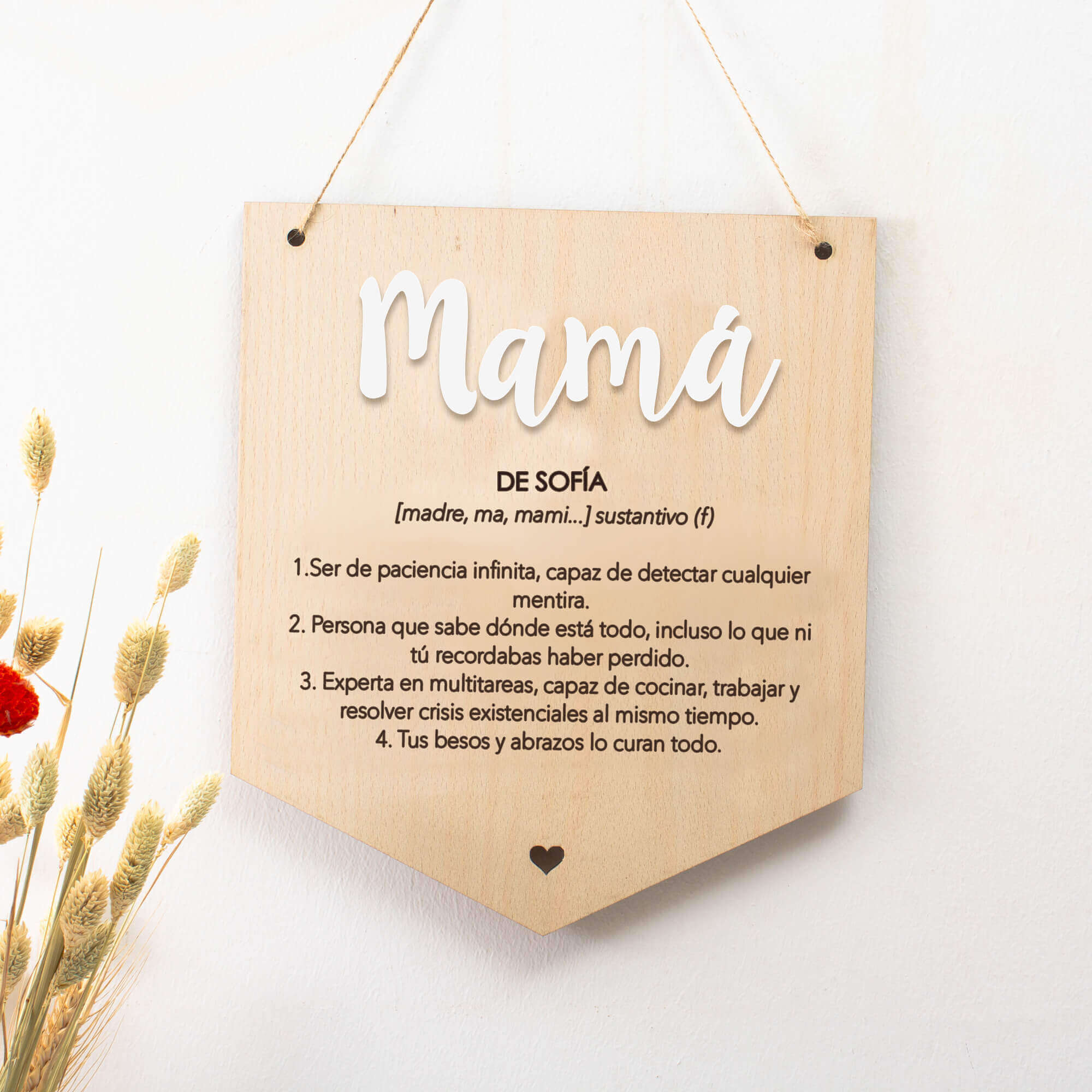 placa-banderola-definicion-madre